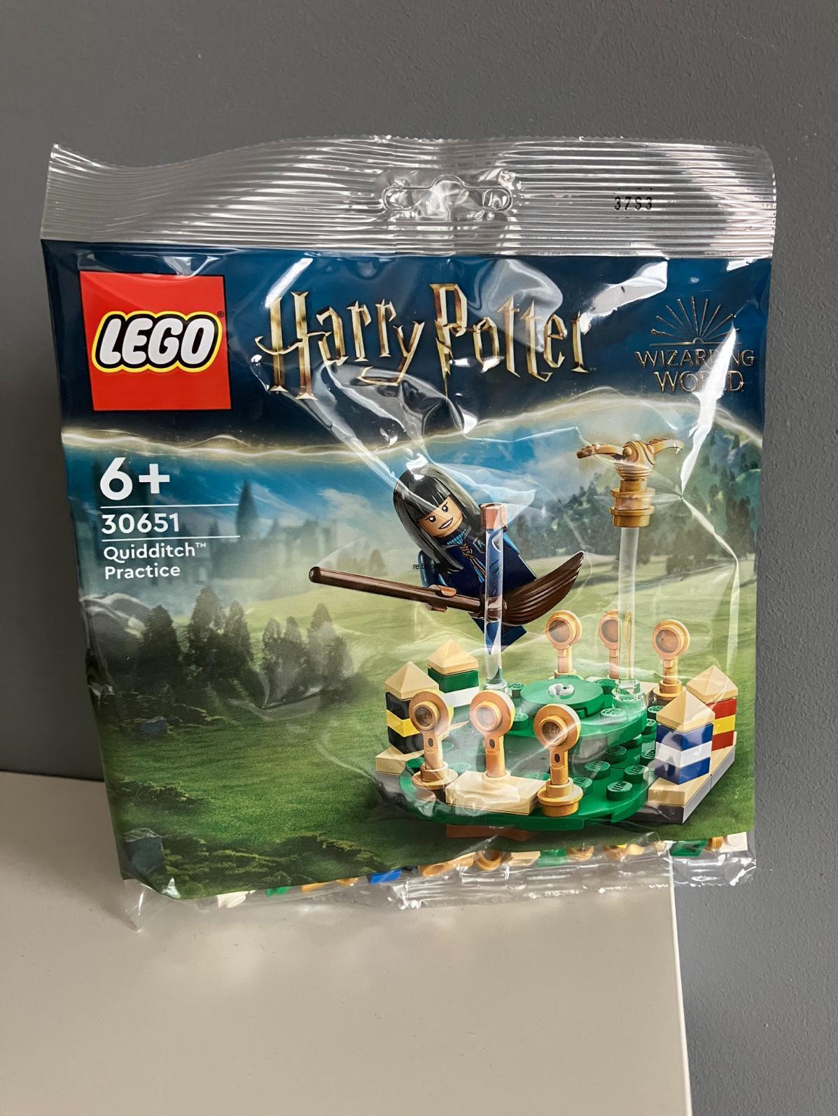 LEGO® Harry Potter 30651 Quidditch Practice (polybag)