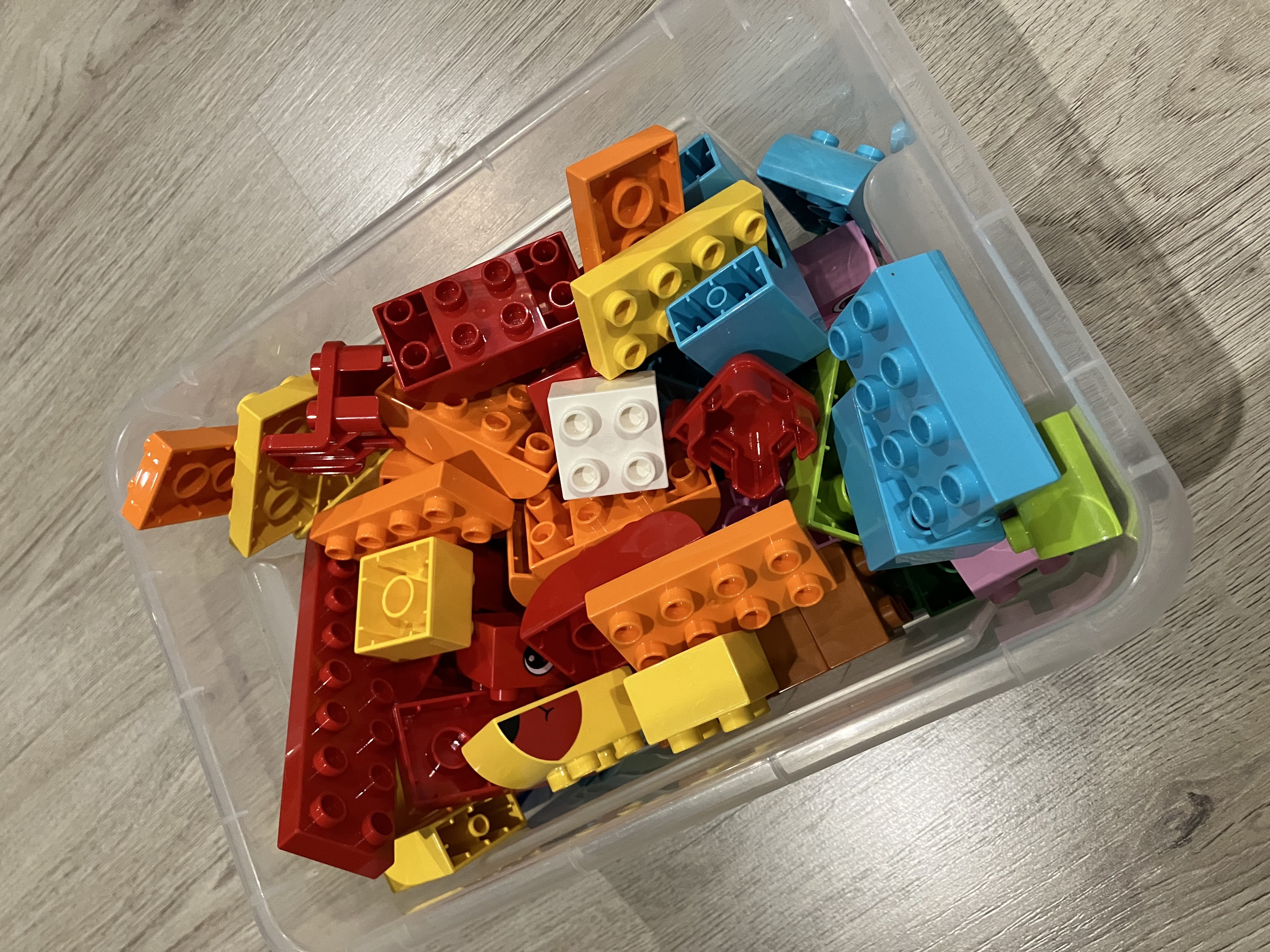 LEGO® DUPLO® 10853 Kreativní box pro stavitele 